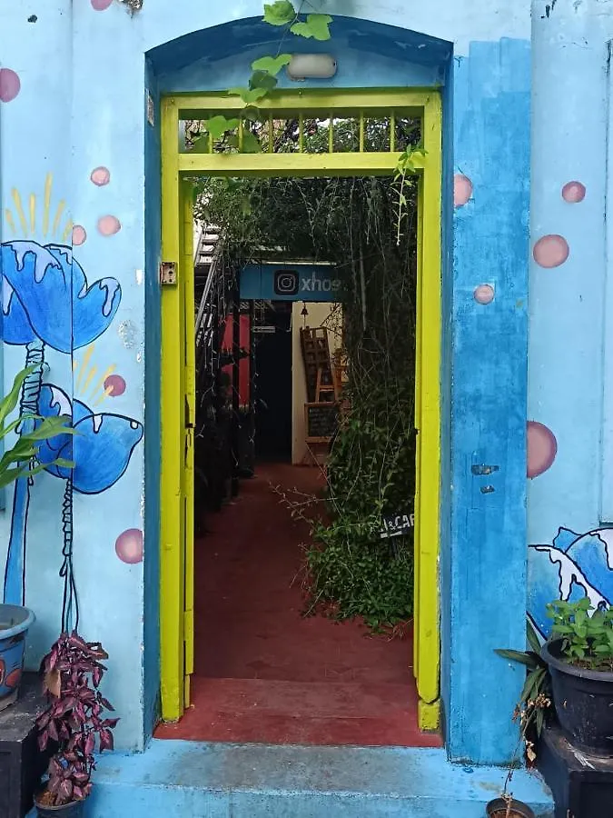 Fort Kochi Xhostel